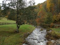 HemlockOnNettleCreek